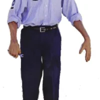 Standing Mechanic